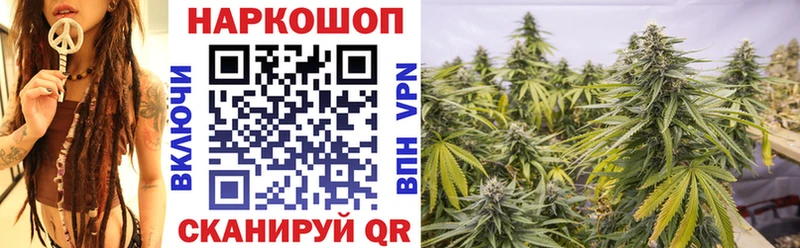 Как найти наркотики Сасово NBOMe Гашиш КОКАИН Alpha-PVP