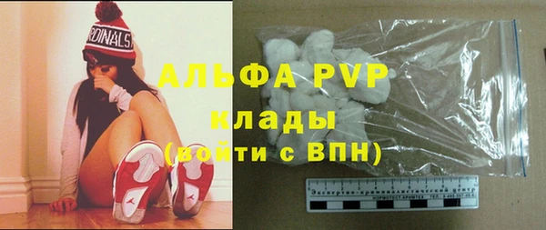 стаф Аркадак