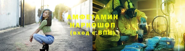 стаф Аркадак