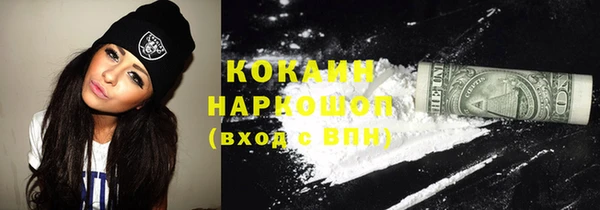 стаф Аркадак