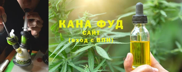 стаф Аркадак