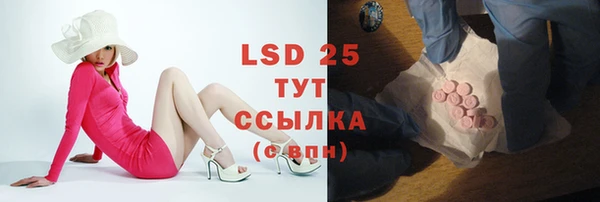 стаф Аркадак